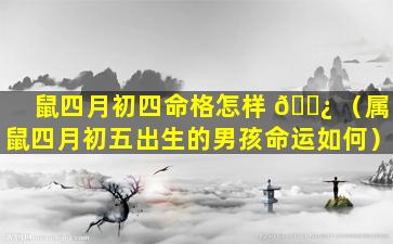 鼠四月初四命格怎样 🌿 （属鼠四月初五出生的男孩命运如何）